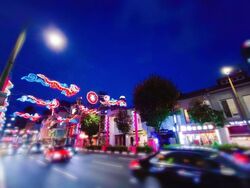 Royal At Chinatown (D1), Retail #608352831